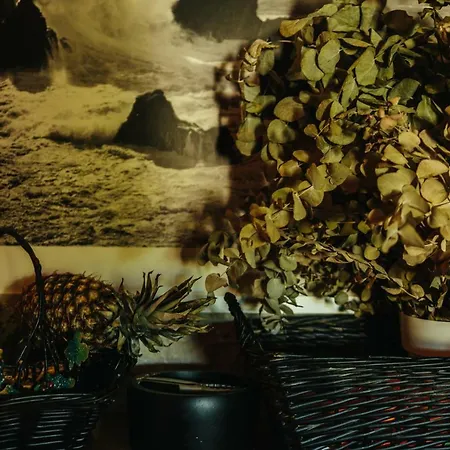 Mi Refugio בית נופש