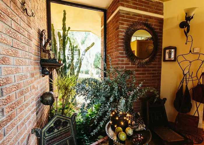 Mi Refugio * 알리칸테