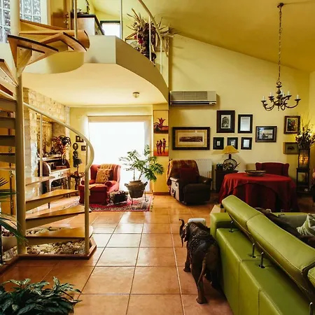 Mi Refugio アリカンテ
